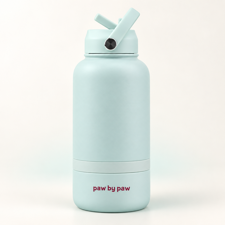 3-in-1 Water Bottle