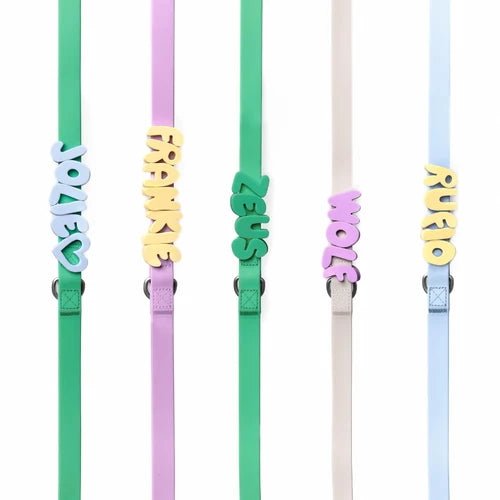 Charm Leash
