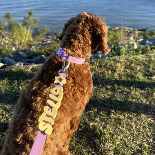 Charm Collar & Leash Set
