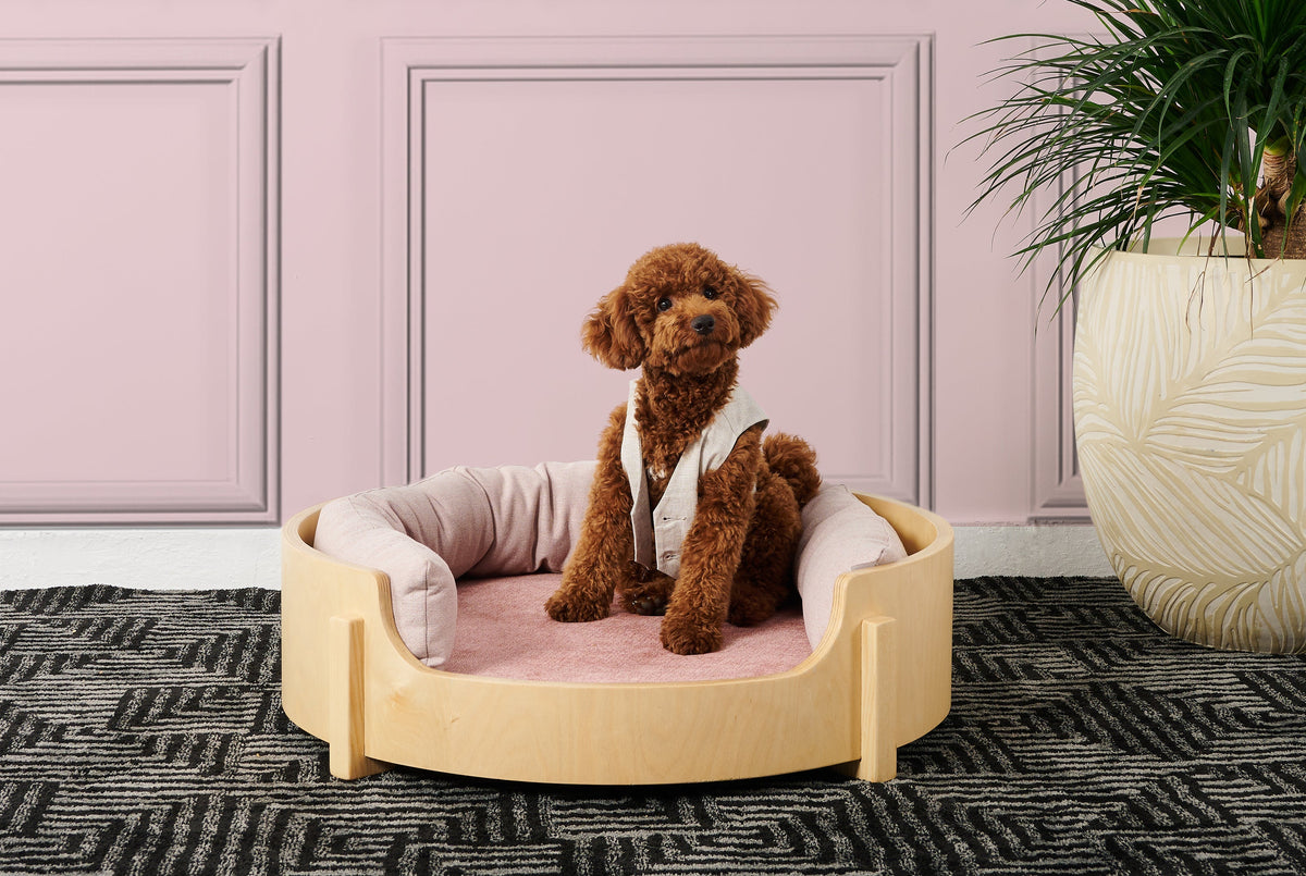 Made for the dog. Designed for the house.
