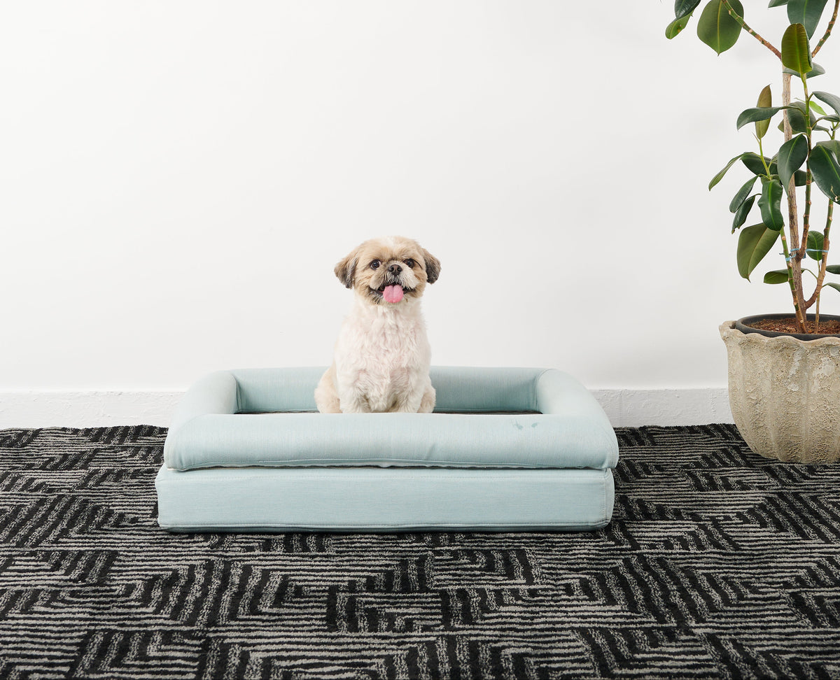 Made for the dog. Designed for the house.