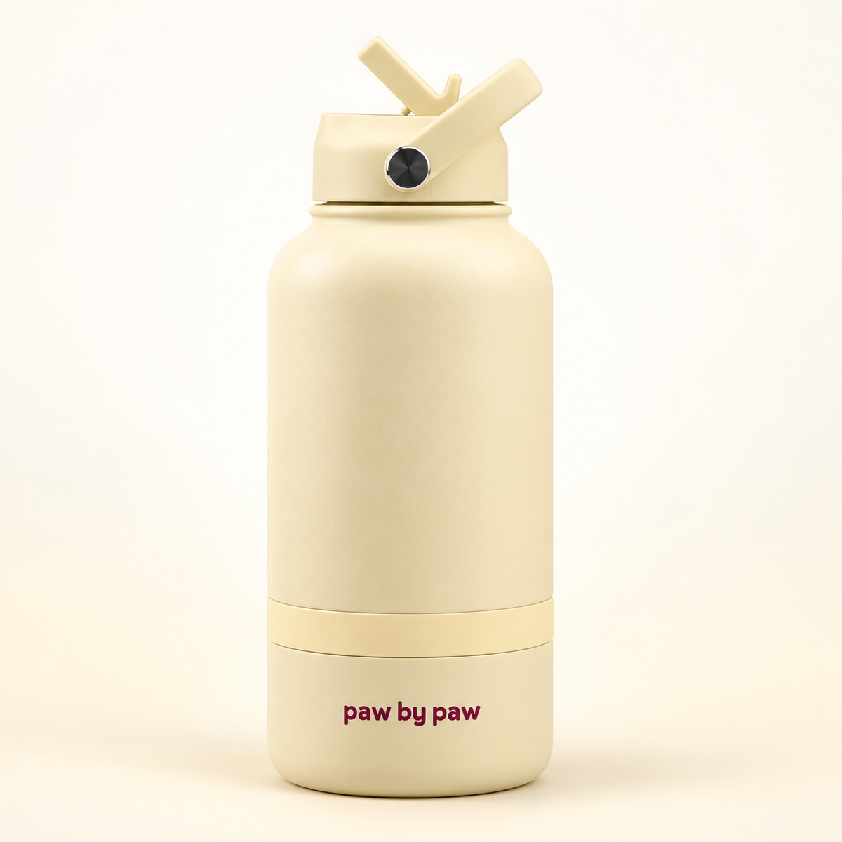 3-in-1 Water Bottle