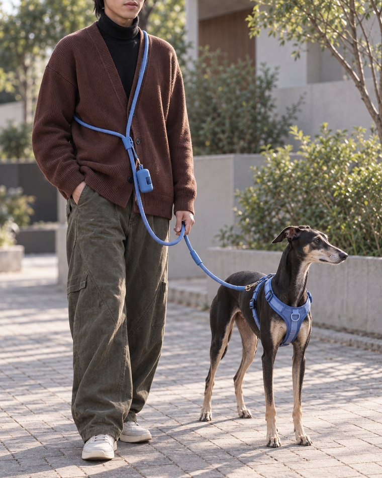 Hands-Free Leash