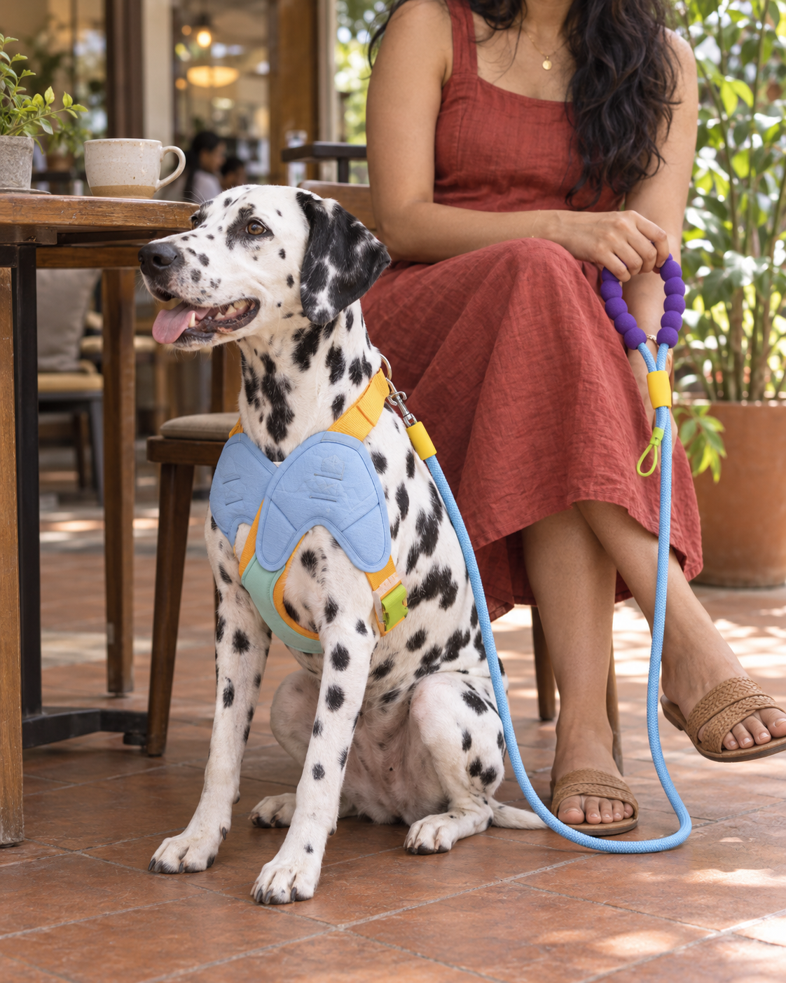 Mango Blue Harness & Leash