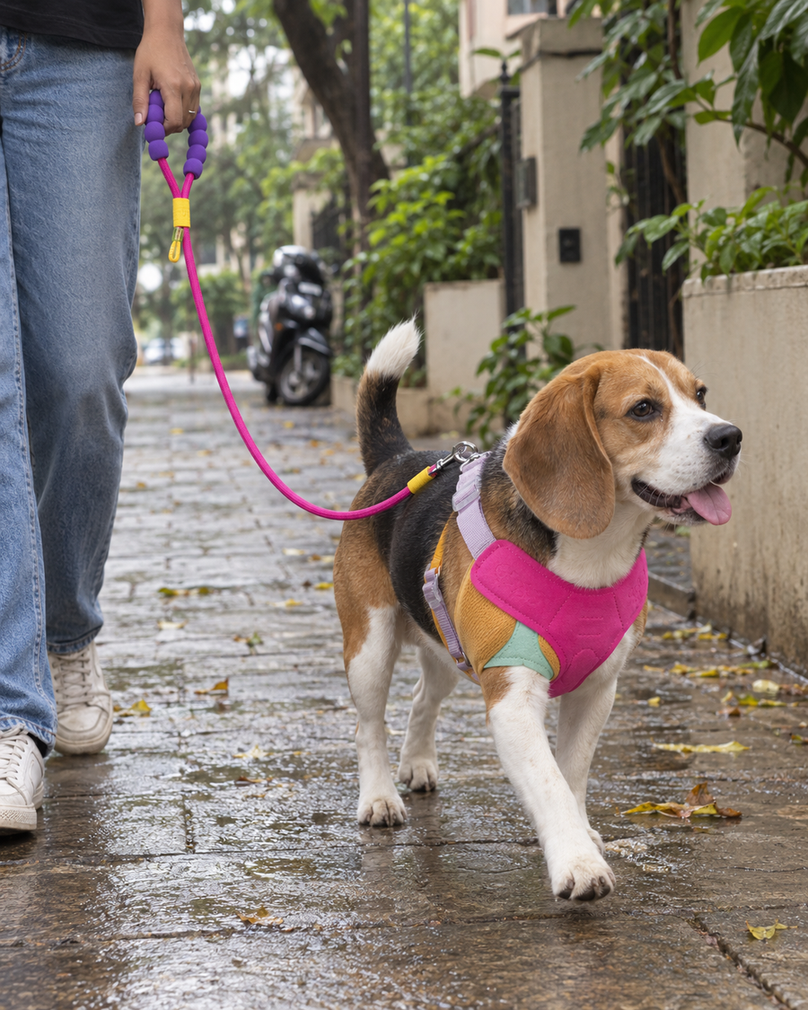 Walk