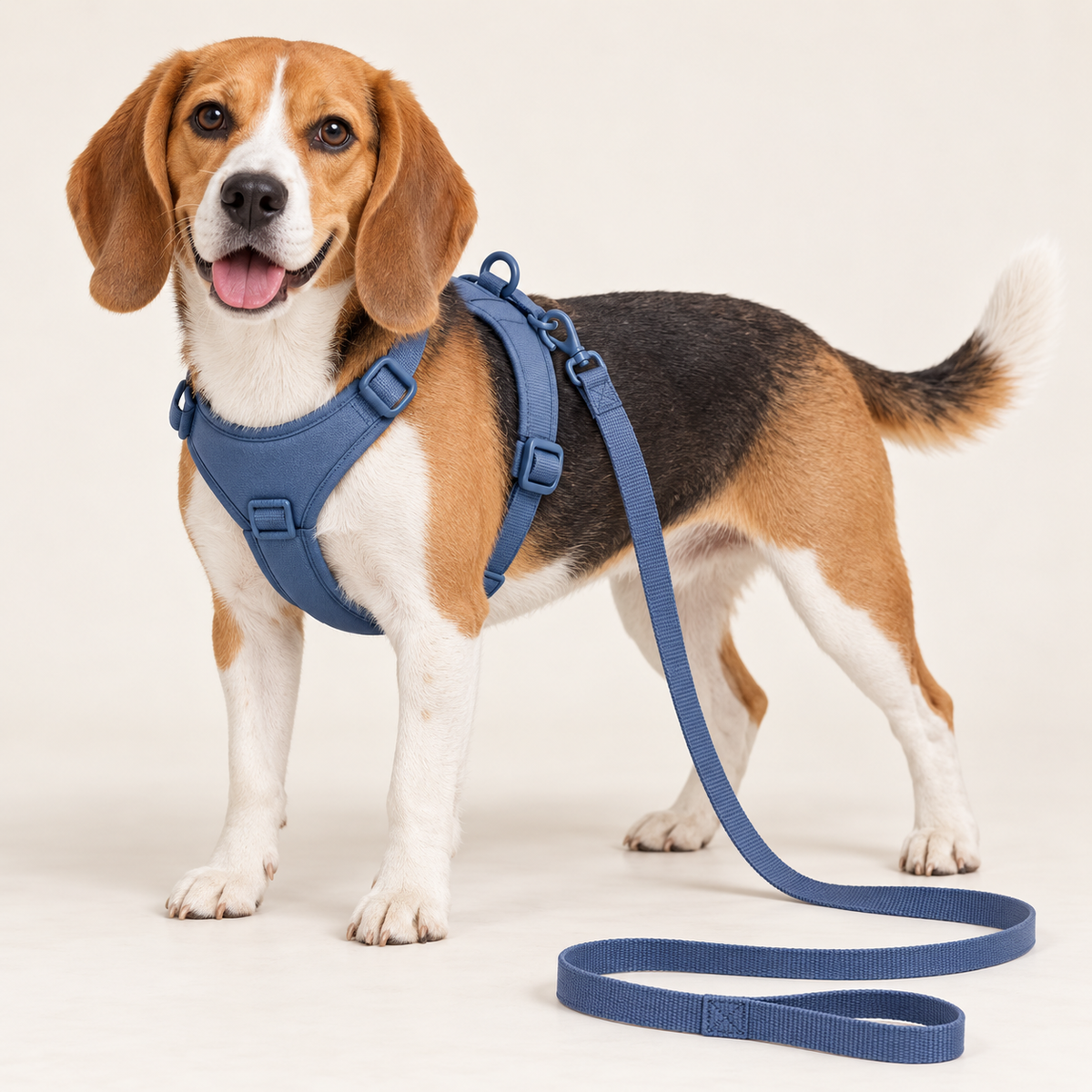 PVC Harness & Leash Set